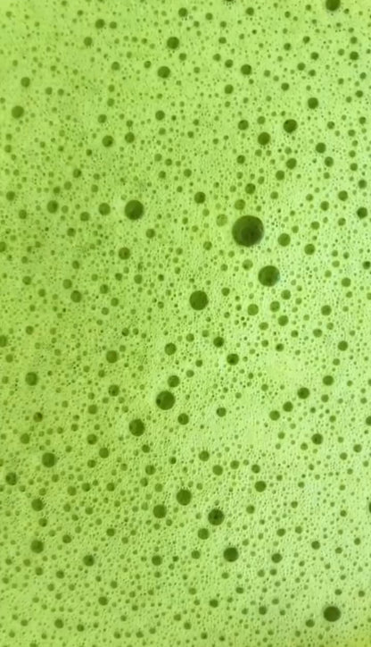 Bulk matcha hotea